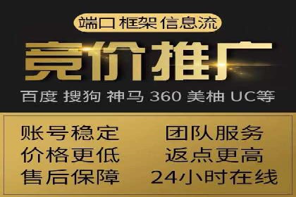 SEM搜索引擎优化：成功案例解析